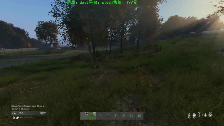dayz (艺术家的生存哲学） 2020-07-20 22点场
