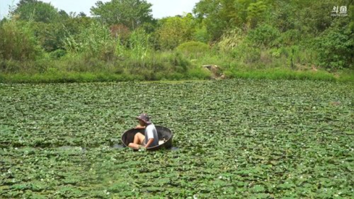 我在斗鱼看野食小哥直播美食