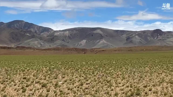 纪实直播:西藏阿里南线第115天 2020-07-23 13点场