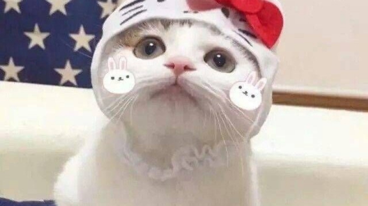 嘻…嘻嘻…嘻嘻嘻