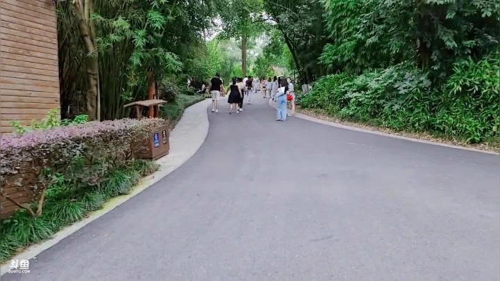 一点半开，去看大熊猫 2020-07-23 15点场