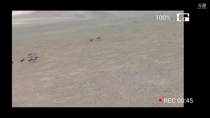 纪实直播:西藏阿里南线第115天 2020-07-23 13点场