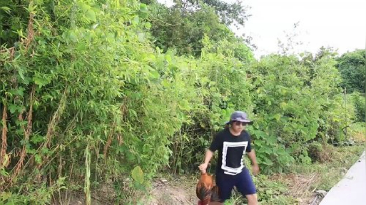 哆啦爱梦梦发布了一个斗鱼视频2020-07-24