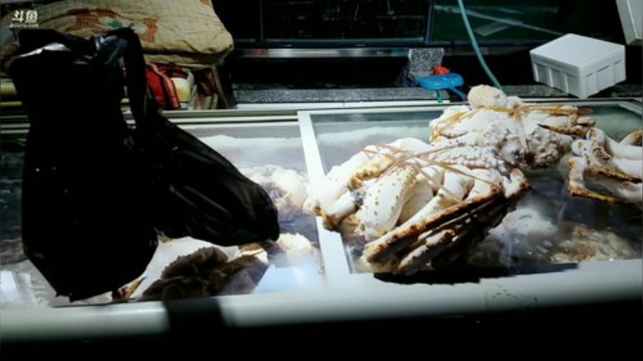 龙马精神丶老狼哥发布了一个斗鱼视频2020-07-24