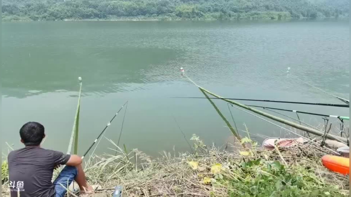 魅力搞笑开始了 2020-07-25 11点场