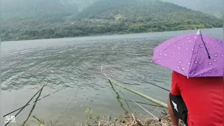 魅力搞笑开始了 2020-07-25 13点场