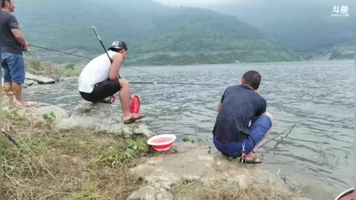 钓鱼每天都认真的 2020-07-26 09点场
