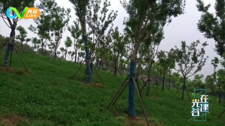 光谷在建第三期-鸡公山公园 0727