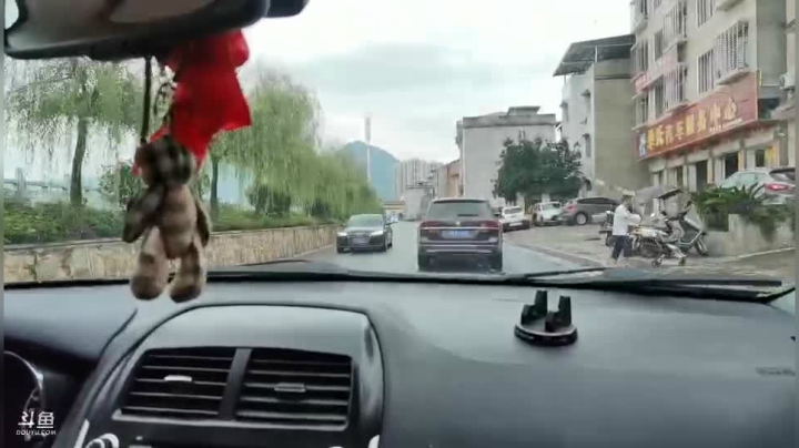 整俩个小菜给颠颠过生日 2020-07-26 16点场