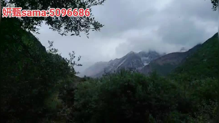 老公去哪儿Day4 2020-07-23 15点场