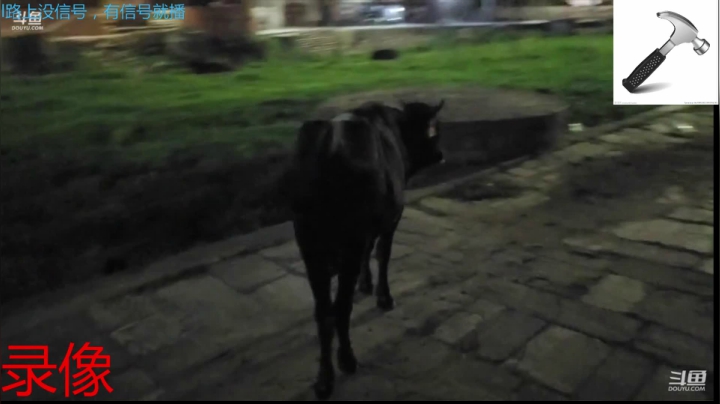 纪实直播:西藏第117天回拉萨等水友集结 2020-07-27 18点场