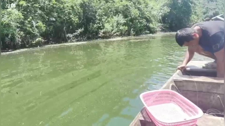 水库又来了 2020-07-27 10点场