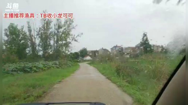 十一郎君01发布了一个斗鱼视频2020-07-27