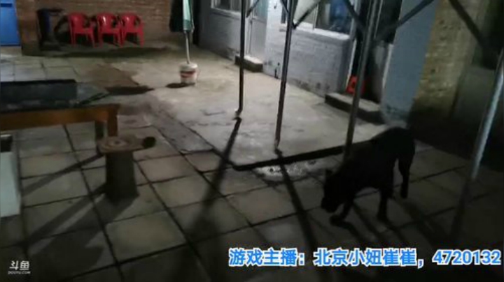 我在斗鱼看无尽无尽的无尽直播美食