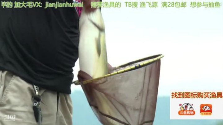 wlbig发布了一个斗鱼视频2020-07-28