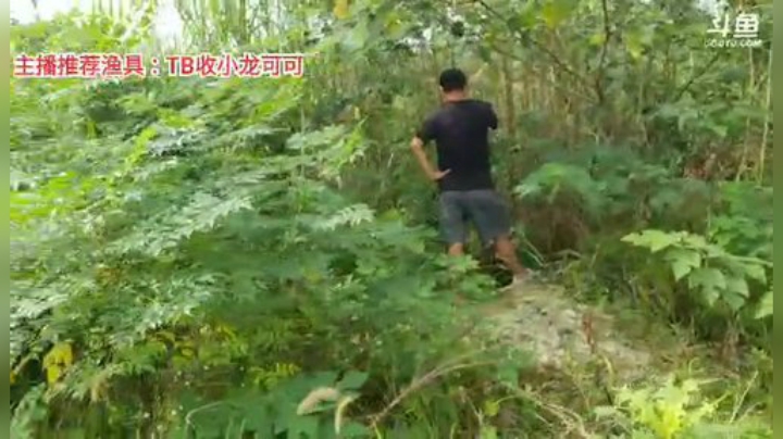 十一郎君01发布了一个斗鱼视频2020-07-28