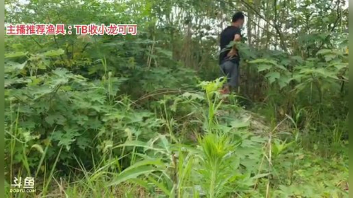 十一郎君01发布了一个斗鱼视频2020-07-28