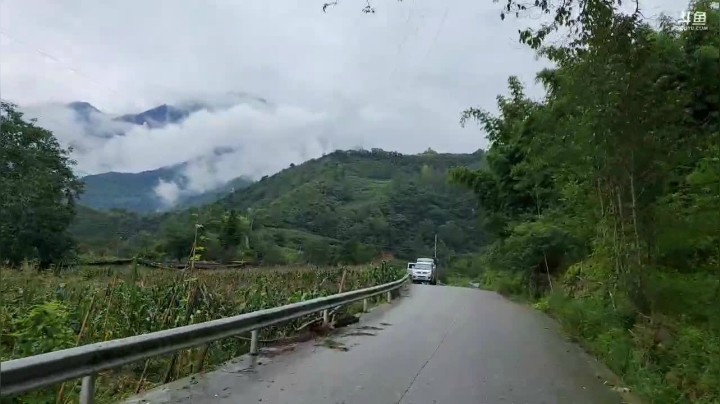 酒鬼花生走起(≧ω≦)/ 2020-07-29 12点场