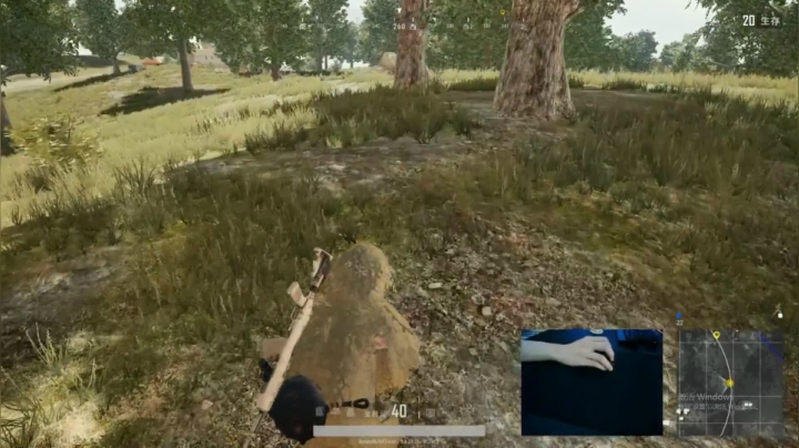 宇宙第一，单人四排 2020-07-29 01点场