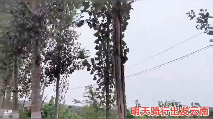 7.29河南到云南2