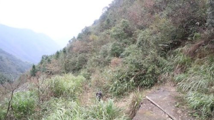 我在斗鱼看野食小哥直播美食