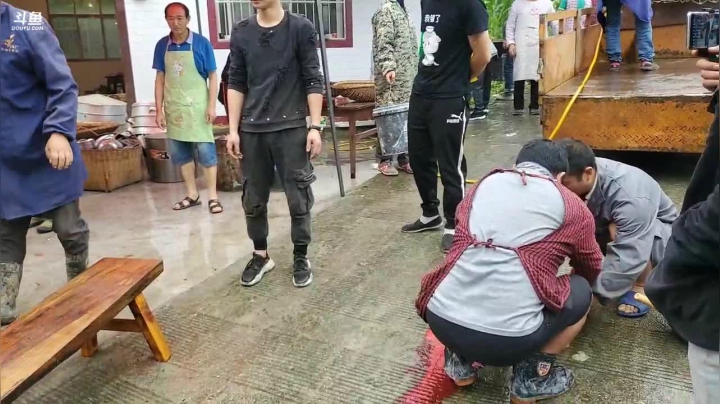 早播杀3个猪(≧ω≦)/ 2020-07-30 07点场