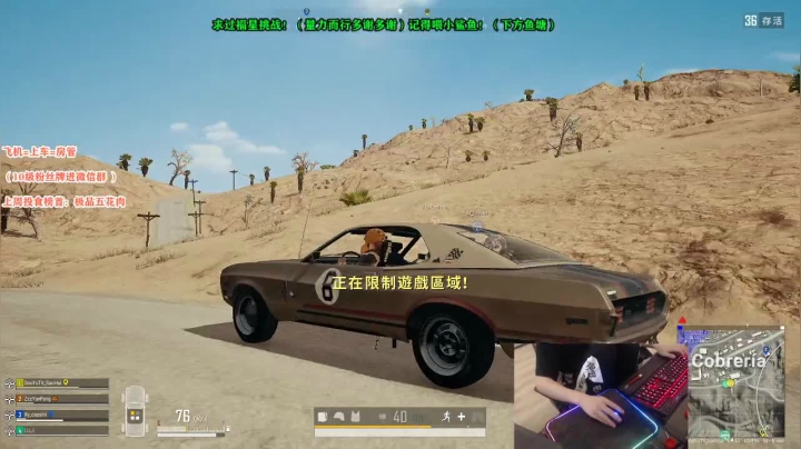 【骚辉】竞技模式就这？就这？就这.... 2020-07-25 21点场