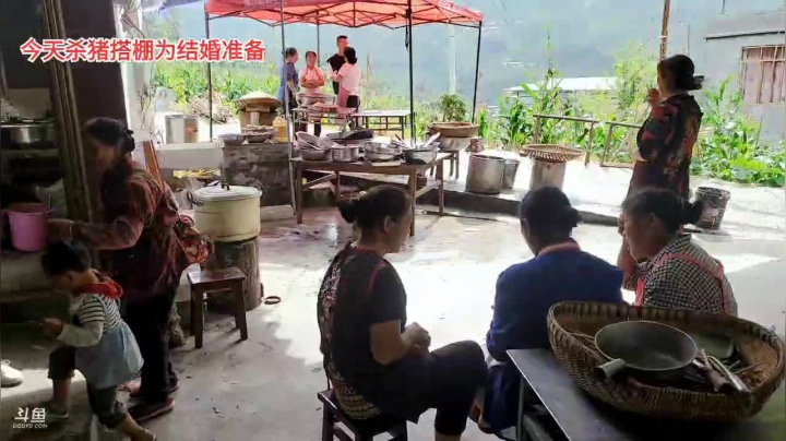 早播杀3个猪(≧ω≦)/ 2020-07-30 15点场