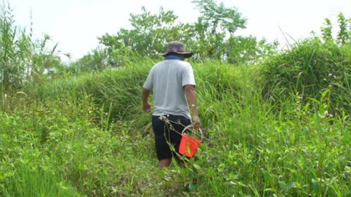 哆啦爱梦梦发布了一个斗鱼视频2020-07-30