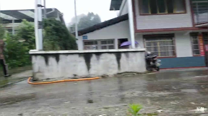 早播杀3个猪(≧ω≦)/ 2020-07-30 07点场