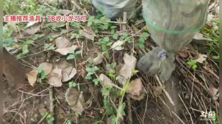 十一郎君01发布了一个斗鱼视频2020-07-31