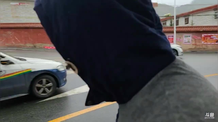 纪实直播:西藏第122天欢迎水友来拉萨 2020-07-31 15点场