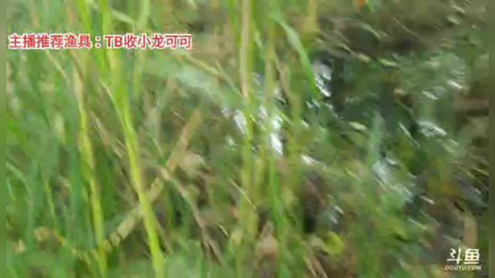 十一郎君01发布了一个斗鱼视频2020-07-31