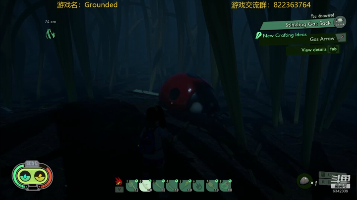 Grounded简直就是虫虫危机的游戏版 2020-07-29 23点场