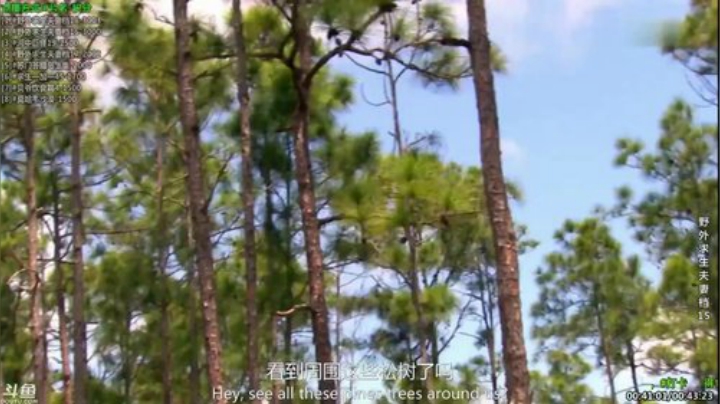 静思世语发布了一个斗鱼视频2020-08-01