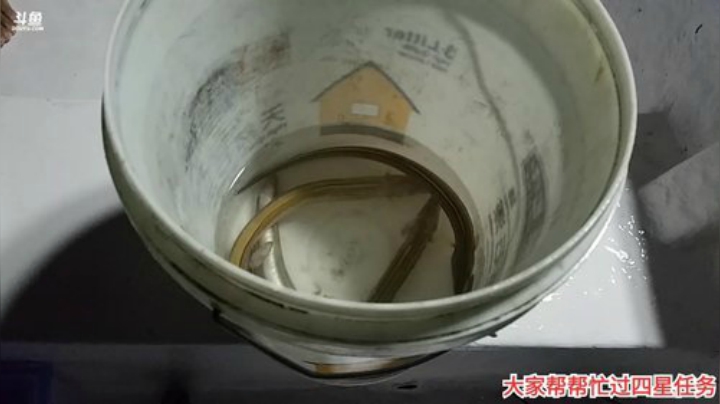 风吹过的痕迹丶发布了一个斗鱼视频2020-08-01