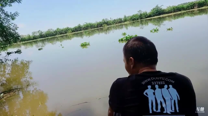 巡野记第二天 2020-08-01 12点场