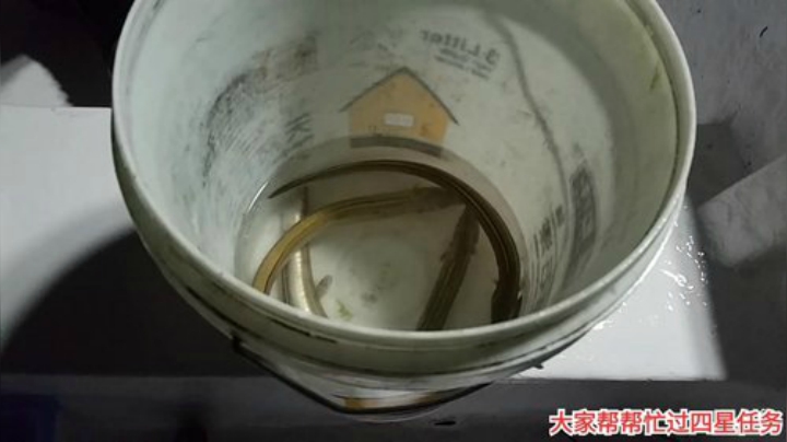 风吹过的痕迹丶发布了一个斗鱼视频2020-08-01