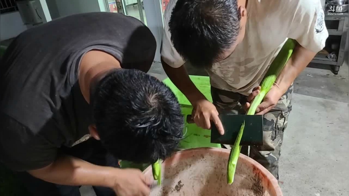 徒手摸甲鱼 2020-08-01 19点场