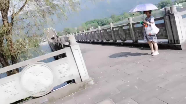 因涨水当地西湖成了网红地 2020-08-01 16点场