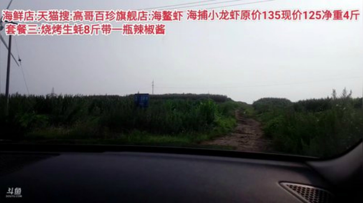 西北老狼哥哥发布了一个斗鱼视频2020-08-01