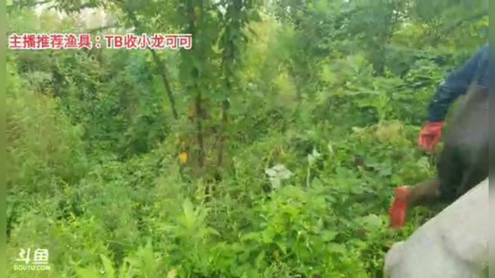 十一郎君01发布了一个斗鱼视频2020-08-01