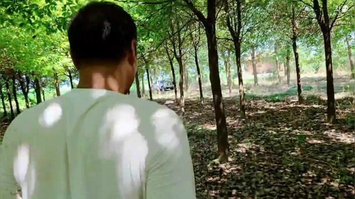 巡野记第一天 2020-07-31 14点场