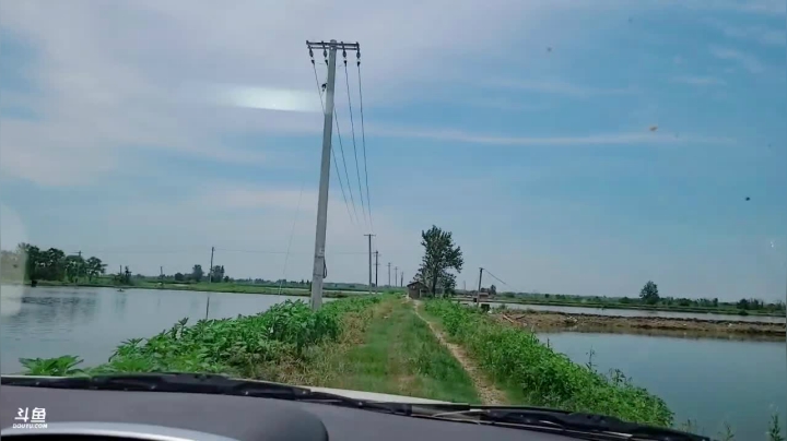 深夜搞麻鳝 2020-08-02 12点场