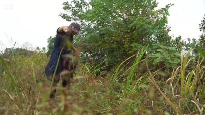 哆啦爱梦梦发布了一个斗鱼视频2020-08-02