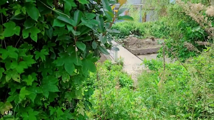 深夜搞麻鳝 2020-08-02 10点场