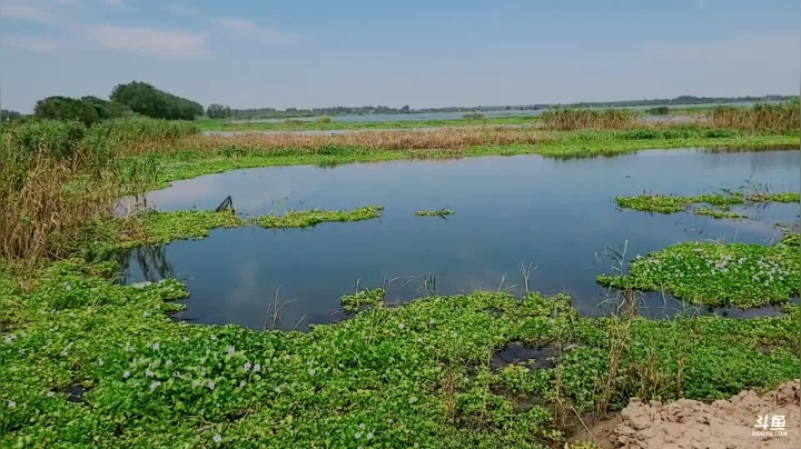深夜搞麻鳝 2020-08-02 12点场