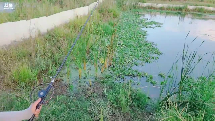 打甲鱼第一现场 2020-07-29 18点场