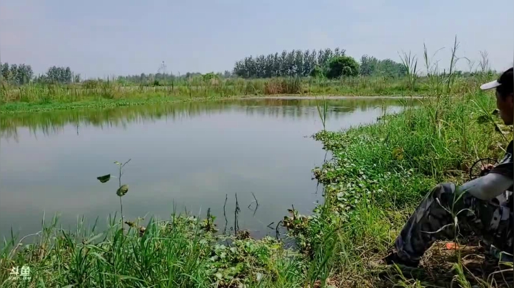 打甲鱼第一现场 2020-07-29 14点场