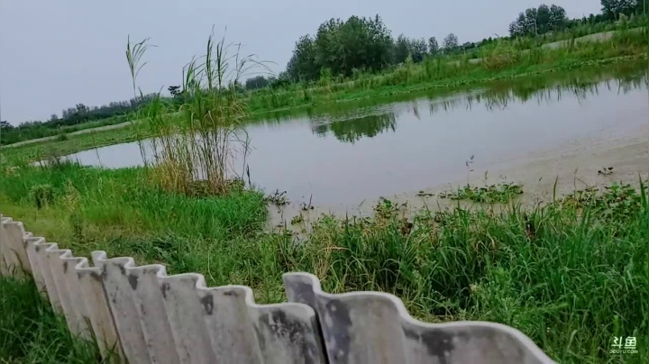 打甲鱼第一现场 2020-07-29 12点场